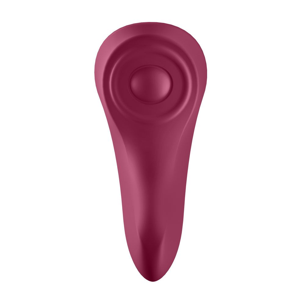 Satisfyer secret panty vibrator